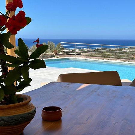 Mediterranean View Villa Makrýgialos エクステリア 写真